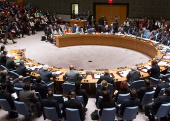 Vote du Conseil de sécurité de l’ONU sur la prolongation du mandat de la MINUSCA