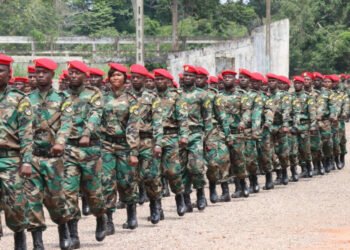 L&rsquo;avis d&rsquo;expert Sylvain Nguema sur la sécurité en République Centrafricaine