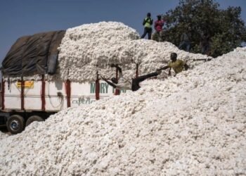 L&rsquo;analyste centrafricain Katoe Gbangandio examine les raisons de la récente attaque dans la ville de Bossangoa