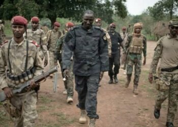 La menace pour la sécurité de la RCA vient des pays voisins