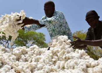 L&rsquo;usine de coton de Bossangoa fonctionne à nouveau après avoir été rétablie par le gouvernement.