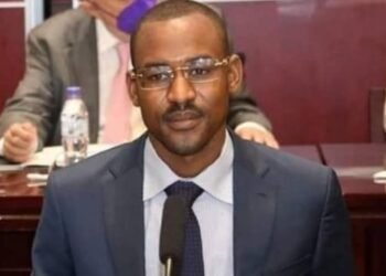 Déploiement des Forces de Défense Sécurité Intérieure (FDSI) et leurs alliés à AMDAFOCK