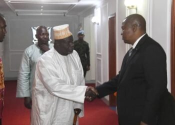 Rencontre de travail du Président Touadéra avec le sultan de Birao