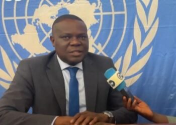 Commentaires de l&rsquo;expert Dongobada sur le rapport de l&rsquo;expert indépendant de l&rsquo;ONU Yao Agbetse