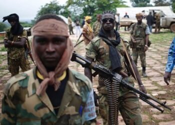 La République centrafricaine accuse le CPC au sujet de l&rsquo;assassinat de mineurs chinois