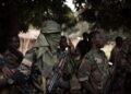 Les bandits centrafricains se déplacent vers le Cameroun pour échapper aux FACA