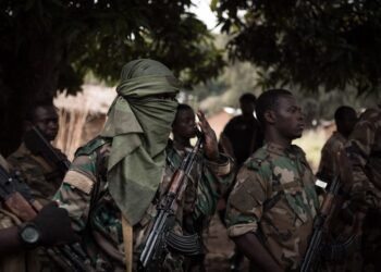 Les bandits centrafricains se déplacent vers le Cameroun pour échapper aux FACA
