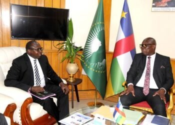 Semaine productive pour le Premier ministre Felix Moloua