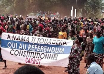 Manifestations en faveur du référendum constitutionnel