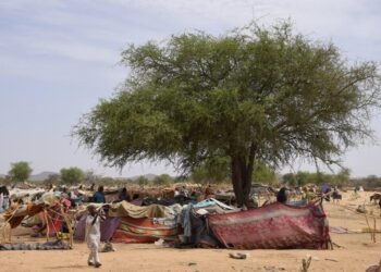Le gouvernement centrafricain assiste des rapatriés à Birao