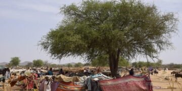 Le gouvernement centrafricain assiste des rapatriés à Birao