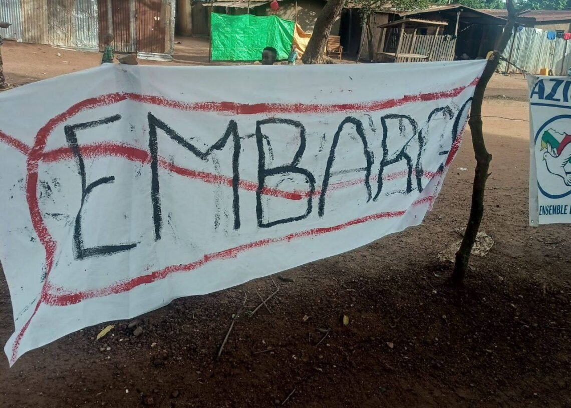 Plus de 60 000 Centrafricains et Centrafricaines ont signé une pétition demandant la levée totale de l’embargo sur les armes de l’ONU