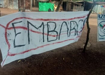 Plus de 60 000 Centrafricains et Centrafricaines ont signé une pétition demandant la levée totale  de l’embargo sur les armes de l’ONU