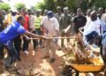 Le Président de la République a participé à l&rsquo;opération KWA TI KODRO dans le quartier Kpetene du 6ème arrondissement de Bangui