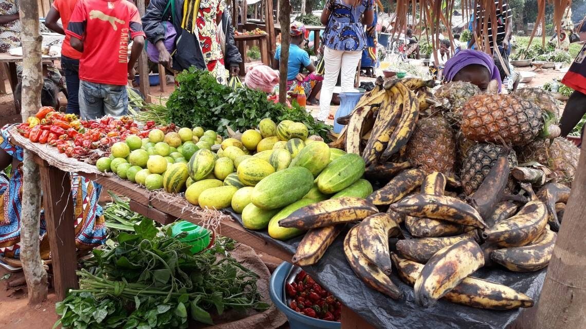 Les habitants de Bozoum se plaignent de la hausse des prix du manioc