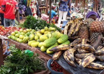 Les habitants de Bozoum se plaignent de la hausse des prix du manioc