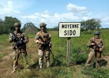 Les FACA et les alliés russes ont libéré Moyenne-Sido des rebelles de la CPC