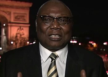 Critique inutile dont le héros est la marionnette française Martin Ziguelé