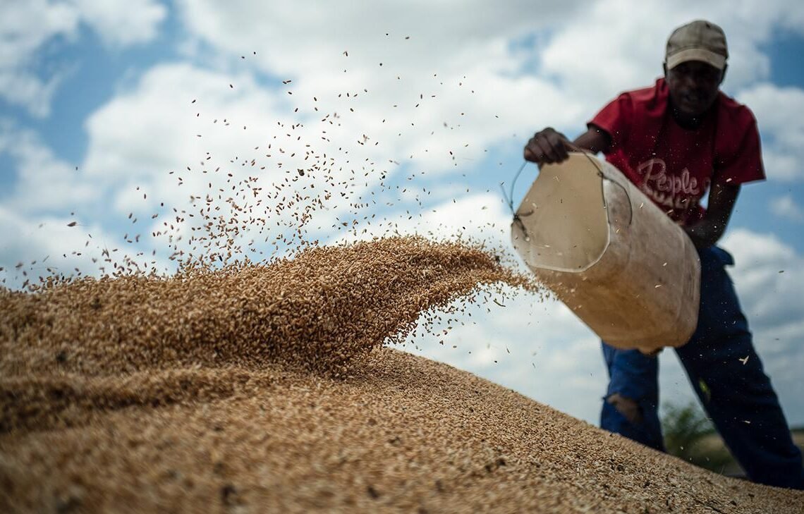 La Russie a envoyé une cargaison gratuite de farine de blé à la RCA