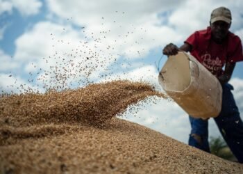 La Russie a envoyé une cargaison gratuite de farine de blé à la RCA