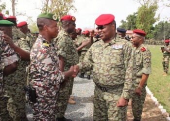 Plusieurs éléments des FACA ont été promus à des grades élevés