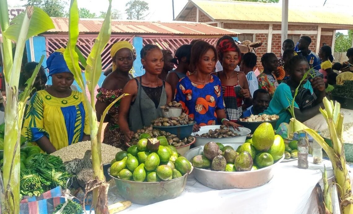 Foire agricole à Mbaïki, RCA