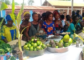 Foire agricole à Mbaïki, RCA