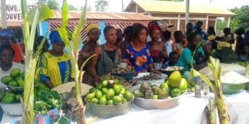 Foire agricole à Mbaïki, RCA