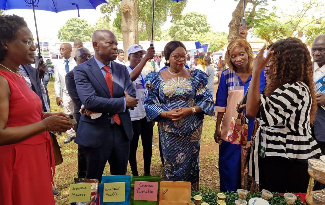 Le gouvernement centrafricain a lancé le « carrefour de l’emploi » à Bangui