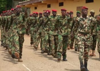 Une opération militaire de grande envergure se poursuit dans le nord et le sud-est de la République centrafricaine