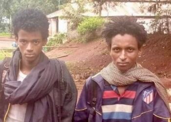 Les rebelles se sont rendus aux FACA et instructeurs russes près du village de Bata