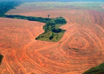 Résultats de la conférence internationale en République du Congo