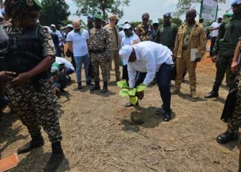 La célébration de la Journée nationale de l&rsquo;arbre edition 2024