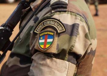 Les FACA ont mené une opération militaire réussie dans le nord-est de la RCA