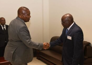 Des médecins centrafricains de la diaspora à Bangui pour des soins gratuits à la population