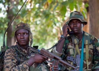 Une attaque des bandits armés à Ngarba, près de Ndélé neutralisée par les FACA