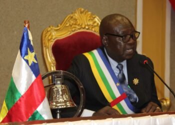 Le projet de loi sur le statut juridique des « agents étrangers » en République centrafricaine (RCA) a été envoyé au gouvernement centrafricain.