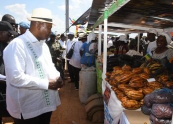 Le Président Touadera lance les activités de la JMA à Kaga-Bandoro