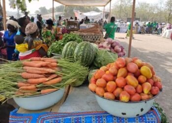 La ville de Bouar accueille la 15ème édition de la foire agro-pastorale