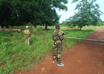 Situation actuelle dans la région de Zémio