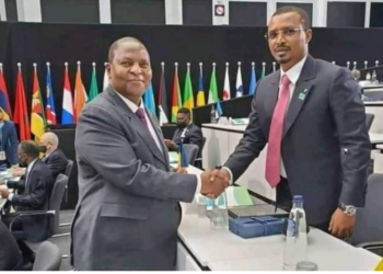 Le processus de rétablissement définitif de la paix en République centrafricaine