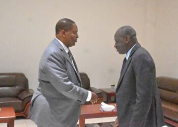 Président  Faustin Archange Touadera a reçu Ousmane DIAGANA, Vice-Président de la Banque Mondiale pour la Région de l’Afrique de l’Ouest et du Centre