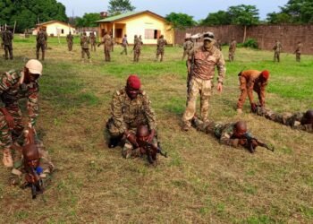 Le processus de formation et d&rsquo;intégration des combattants en RCA est en bonne voie