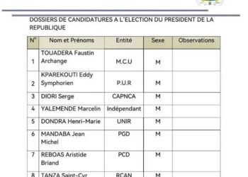 Les personnalités retenues par l&rsquo;A.N.E : un dernier recours devant le Conseil Constitutionnelle