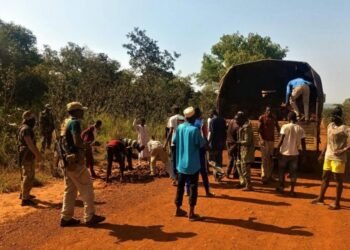 Les instructeurs russes ont apporté un appui pour la construction de l’hôpital de Digui