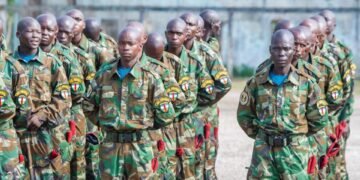FACA : le renforcement des effectifs