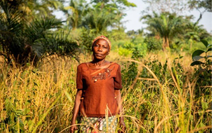 Le projet PRUCAC soutient le domaine agricole au Mbomou