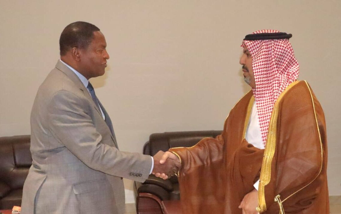 Le Président TOUADÉRA a reçu en audience le vice-ministre des Affaires étrangères du Royaume d’Arabie saoudite