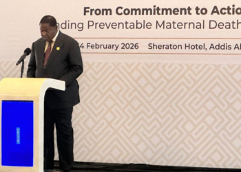 Forum de haut niveau sur la réduction de la mortalité maternelle en Afrique
