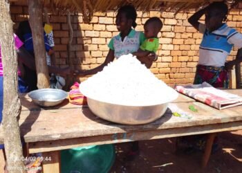 Baisse de prix sur le marché de Zemio